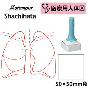 yV`n^z×pl̐}ixj XX^p[ p^ p50 5050 ( ʃTCY:50×50mm )ÁEa@EŌtEi[X ͂ X^v