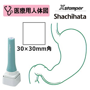 yV`n^z×pl̐}i݁j XX^p[ p^ p30 3030 ( ʃTCY:30×30mm )ÁEa@EŌtEi[X ͂ X^v