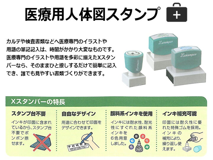 楽天市場 シヤチハタ 医療用人体図 歯2 Xスタンパー 角型印 5075号 印面サイズ 50 75mm 医療 病院 看護師 ナース 歯科医 はんこ スタンプ はんこキング 印鑑 シャチハタ