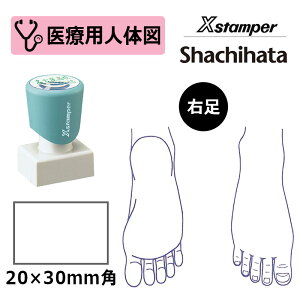 yV`n^z×pl̐}iEj XX^p[ p^ 2030 ( ʃTCY:20×30mm ) ÁEa@EŌtEi[XE̎t ͂ X^v