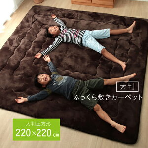 O  傫 3cm ` ~ɂ tlfނ̂ӂ~ChOJ[ybg 220×220cm uE n g h NbV ȃGl O~ Vv 傫 y5
