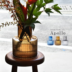 �ԕr �}�� �k�� ������� �t�����[�x�[�X Apollo �A�|�� ���a17cm��×����22cm �u���[�A�u���E���A�O���[ �K���X�x�[�X �傫�� �A���o�[ �� �I�����W ���� �� ���킢�� �Ԋ�