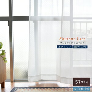 [XJ[e AQ΍ ɂ ~[ ԕLb` 57TCYI[_[J[e Shutout Lace (100 2g)(150 1)(200 1)  I[_[ ԕ΍ _j΍ ɂ lC 