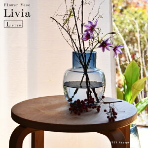 t[x[X KX   NA LTCYF12.6cm×15.0cmiaF7.0cm) u[@NA ԕr t[x[X KX J[ fUC C VbN lC ~`@傫 傫 