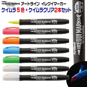 Artline IREGUI MARKER COC}[J[ [PC5F+PCNA2{Zbg] V`n^ PCJ[ u y }[J[ A[gC V`n^ ނ tBbVO ނ A[ h 