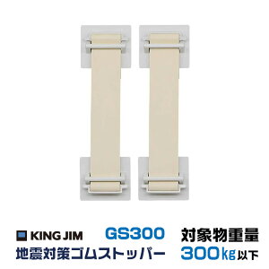 nk΍SXgbp[ LOW GS300 h pi  p  ЊQ ]|h~ ϐk kx6 Ƌ bNz_[ bN xg ΍ Lrlbg ItBX