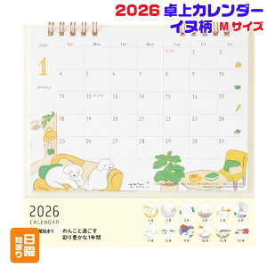 ~h ナOJ_[ [MECkE31361006] RpNg fXNJ_[ 2026N ߘa8N O XPW[ J_[ fUCtB _CA[ ԃXPW[ (2026N1`20