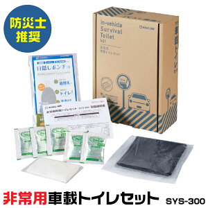 �L���O�W�� ���p�ԍڃg�C���Z�b�g A4�t�@�C���T�C�Y SYS-300 �h�Ўm���� KOKOBO �R�R�{ ���p ���� �g�ݗ��ĕs�v �ډB���|���`�� �������� �ȈՃg�C�� �Г��ۊ� �� ������ �������� �g���b