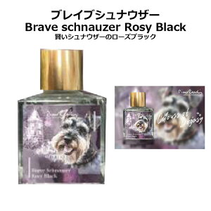 sG[J_ ̃CN Colours of Dogasy pierre cardin 25ml [ČEnXL[ES[fgo[E[L[EuCuViEU[EEFVR[M[E}`[YEv[h] ʂ