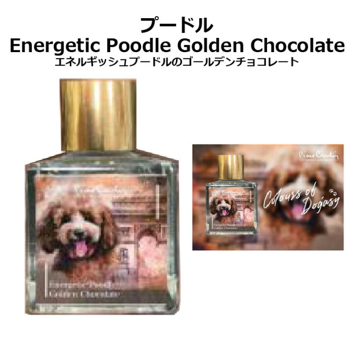 楽天市場】ピエールカルダン 犬のインク Colours of Dogasy pierre 