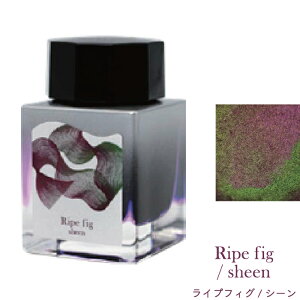 Z[[NM Dipton{hocoro yCNZbg V[  fBvg zR ʌ CN ty KXy yp{gCN ؂ CNZbg v[g 