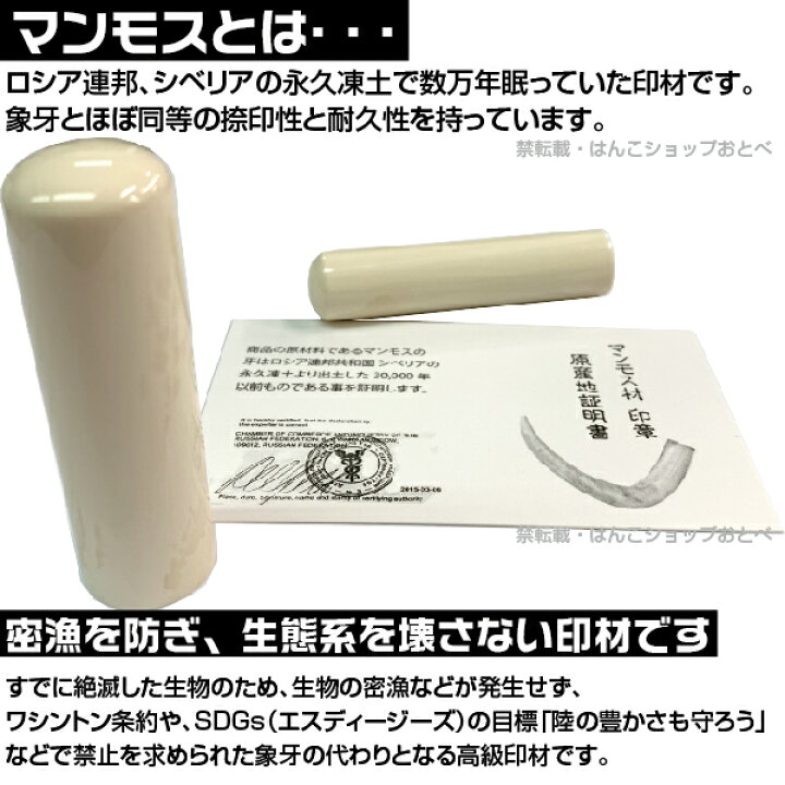 楽天市場】銀行印 マンモス 並上 印鑑ケース付 金融機関印 13.5mm 13.5 