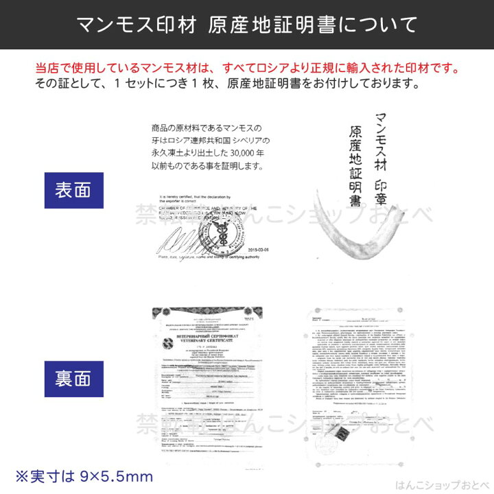 楽天市場】銀行印 マンモス 並上 印鑑ケース付 金融機関印 12mm 12ミリ 