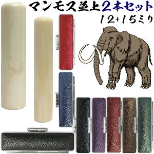  }X   Zbg [2{Zbg 15mm+s12mm]  Ԃ 킢 nR   tl[ ͂ I[_[ q  s nRP[X P[Xt 