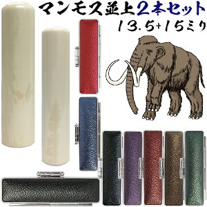  }X   Zbg [2{Zbg 15mm+s13.5mm]  Ԃ 킢 nR   tl[ ͂ I[_[ q  s nRP[X P[Xt