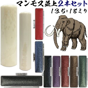  }X   Zbg [2{Zbg 18mm+s13.5mm]  Ԃ 킢 nR   tl[ ͂ I[_[ q  s nRP[X P[Xt