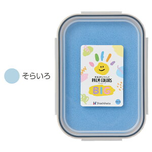 [Vi] `X^vpbh p[J[YBIG rbO PALMCOLORS 傫 V`n^ `  nR Ⴟ͂ X^v ObY ͂ Ԃ ` [ q V`n^ [CN 