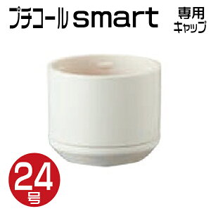 Tr[ v`R[ smart 24 pʃLbv eF t v`R[ X}[g 24 24~ 24mm f[^ l[^[l[ i  Pi   j