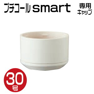 Tr[ v`R[ smart 30 pʃLbv eF(t v`R[ X}[g 30 30~ 30mm f[^ l[^[l[ i  Pi   j)