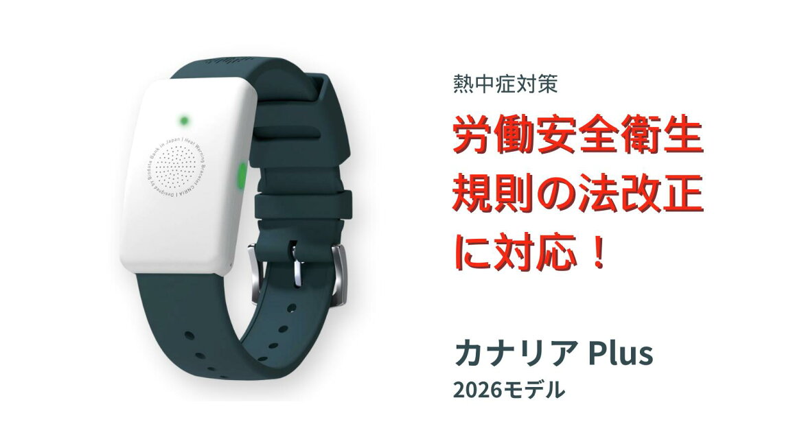 楽天市場 | 文具日和 by はんこショップおとべ - カナリア Plus 2026年 