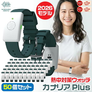 カナリアplus 2026」の人気商品一覧・価格比較 - 価格.com