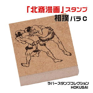 o[X^vRNV HOKUSAI [ooC] k X^v k ͂ fUCi[YX^v  Tr[  X^v 킢  nR ֗ yY { S C