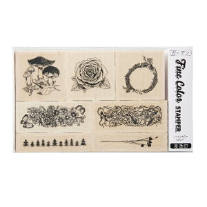 t@CJ[ X^p[ Zbg [K[f] V`n^ ͂ X^v  CXg    t[ t@CJ[X^p[ CXg fR[V NVbN