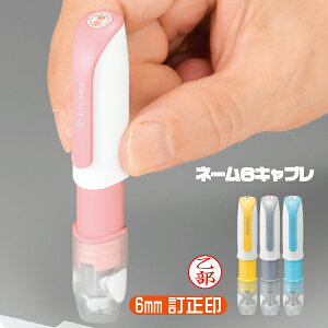 l[6 Lv ʒi V`n^ LbvX̒(  X^v LbvX  i[X OX^v ^b`  tl[ nR ͂ Ōt i[XObY