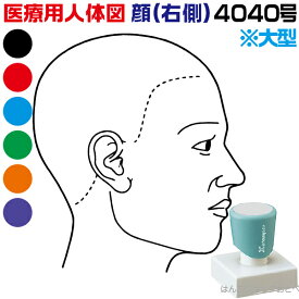 楽天市場 人体 イラスト 無料 印鑑 ハンコ 日用品雑貨 文房具 手芸 の通販