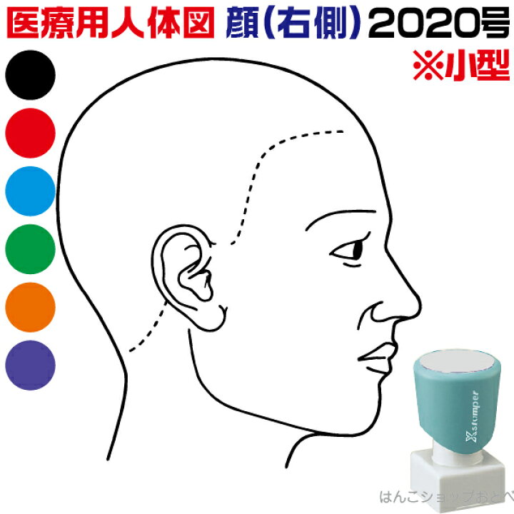 史上一番安い 人体図 シャチハタ 医療用人体図 頭 右側 角型印 4040 医療 スタンプ 本州送料無料 カルテ イラスト 用 ゴム印 問診票 整体 病院 医院 整体院 検査 レントゲン はんこ 印鑑 ハンコ 書類 先生 医者 40 40 浸透印 文具 事務用品