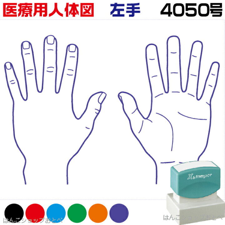 楽天市場 人体図 シャチハタ 医療用人体図 左手 角型印 4050 医療 スタンプ 本州送料無料 カルテ 病院 検査 はんこ 印鑑 ハンコ しゃちはた 書類 医療専門 先生 医者 開業 簡単 文房具 イラスト 薬 オーダー 40 50 浸透印 文具 事務用品