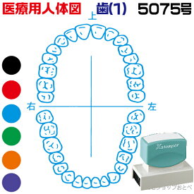 楽天市場 シャチハタ イラスト 歯の通販
