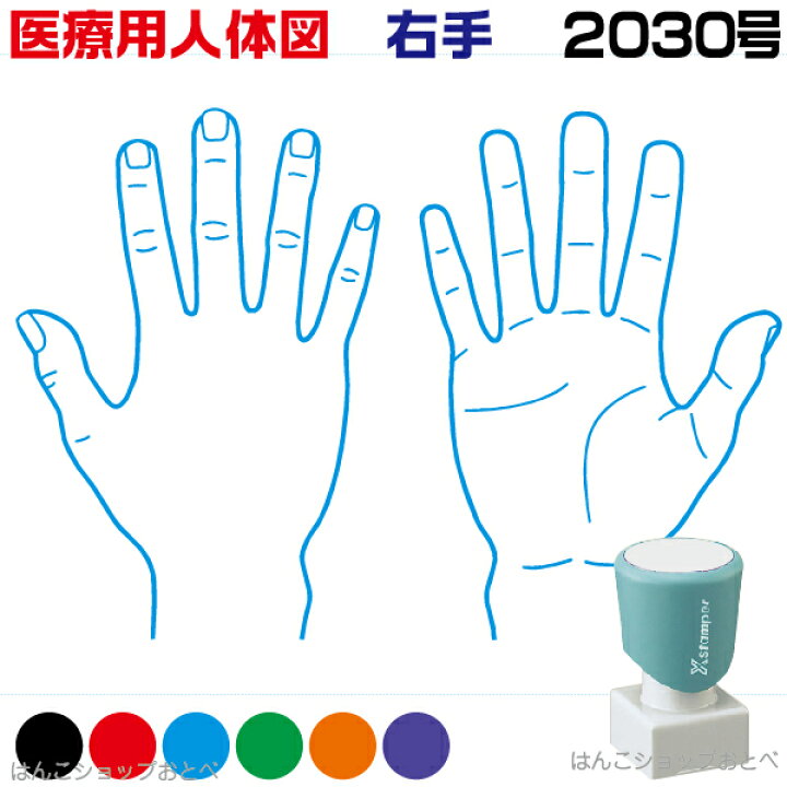 楽天市場 人体図 シャチハタ 医療用人体図 右手 角型印 30 医療 スタンプ カルテ 病院 検査 はんこ 印鑑 ハンコ しゃちはた 書類 医療専門 先生 医者 開業 簡単 文房具 イラスト 薬 オーダー 30 浸透印 文具 事務用品 はんこショップおとべ
