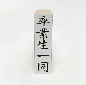 y݌ɂzƐꓯ S X^v ͂