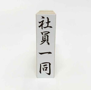 y݌ɂzЈꓯ S X^v ͂