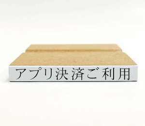 y݌ɂzAvςpy̎pAzySzX^v ͂