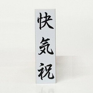 y݌ɂzCj SjV cpX^vlܗp͂