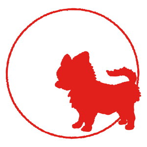 ݂͂ł L L CXg͂ CXg CXg  L ͂ CXg nR nR L͂ L̃nR lRnR G c s  