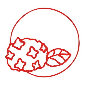 ݂͂ł aԉԂ͂ Ԉ s CXg nR  CXg͂ 킢 CXg 킢 nR  a fUC fUCnR IWi