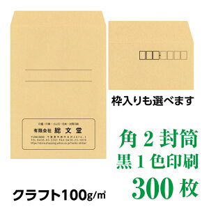Ntg100@@300