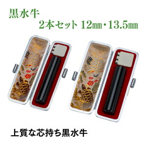 F@@@12mm@13.5mm@2{Zbg@P[Xt