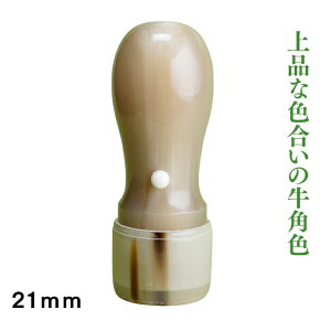 @l@p21mmVۃ^Cv