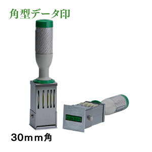 f[^ Tr[ eNm^b` f[^[ p^ 30mm