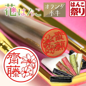 y500~OFFN[|zzz  Ԃ͂ yI_z 킢  q ͂ s 13.5 ` 18.0mm NRP[XZbg F nR q O P[Xt   a 