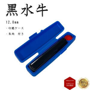 _|Cgő10{^ l  s F i  \tgP[Xt ij  ͂ 12.0mm   y ۖ_ 12mm \tgӃP[Xtijz