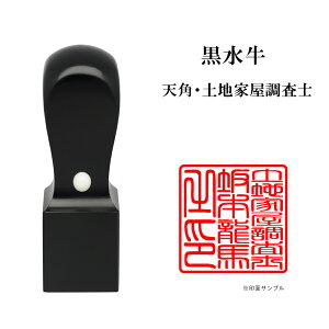 _ő5%off^ mƗp ynƉm p E i 搶  Vp 24mm ͂ nR ӑΉ 