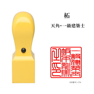 _ő5%off^ mƗp ꋉzm p E i 搶  ѐA Vp 24mm ͂ nR ӑΉ 