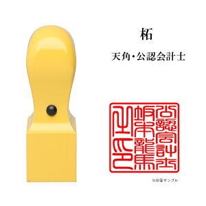 _ő5%off^ mƗp Fvm p E i 搶  ѐA Vp 24mm ͂ nR ӑΉ 