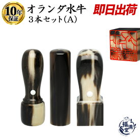 ＼今だけポイント最大5倍／ 法人印鑑 会社印 印鑑 はんこ 判子 法人印鑑セット 3本 社判 実印 代表者印 銀行印 角印 オランダ水牛 水牛 会社 法人 仕事 会社設立 個人事業主 セット 会社印鑑 いんかん Aセット 18mm 16.5mm 21mm 即日発送 【オランダ水牛 Aセット】
