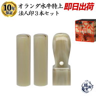 ＼期間限定ポイント5倍／ 法人印鑑 会社印 印鑑 判子 法人印鑑セット 3本 即日発送 オランダ水牛 特上 純…
